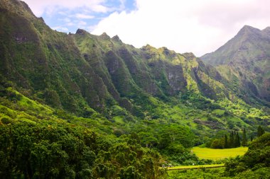 Ko'olau dağ silsilesi, Oahu, Hawaii