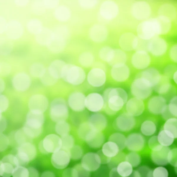 Natural green bokeh — Stock Photo, Image