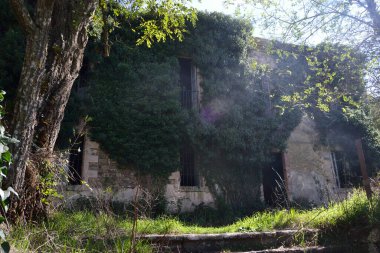 Orman Burgos 'un terk edilmiş binaları