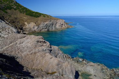 Arjantin kıyıları