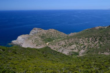 Arjantin kıyıları