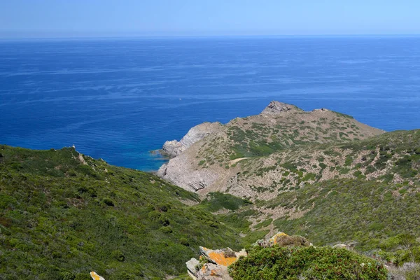 Arjantin kıyıları