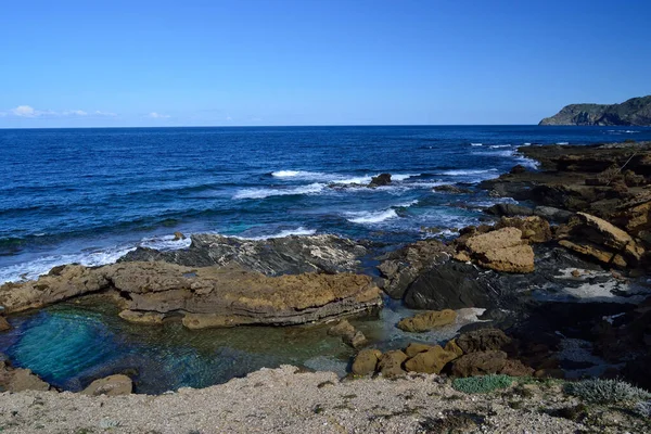 Costa Porto Palmas — Fotografia de Stock