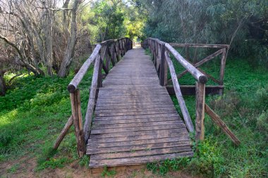 Baratz Gölü yakınındaki köprü yolu