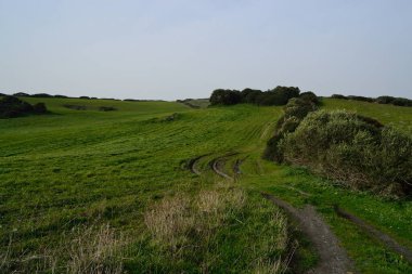 View of pasture in the countryside of Nurra