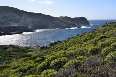 Arjantin kıyısı manzarası