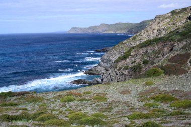 Arjantin kıyısı manzarası