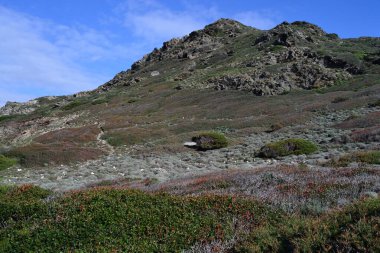 Arjantin kıyısı manzarası