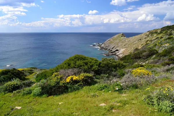 Άποψη Της Ακτής Cosia Donna — Φωτογραφία Αρχείου