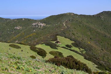 Punta Lu Caparoni 'den Panorama