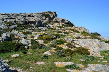 Punta Lu Caparoni Manzarası