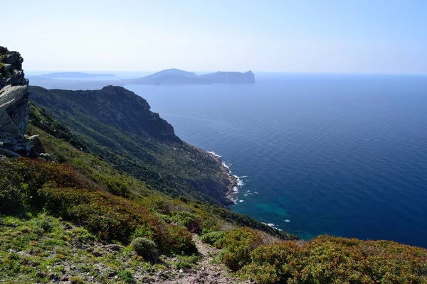Panorama Punta Caparoni Sullo Sfondo Capo Caccia — Foto Stock