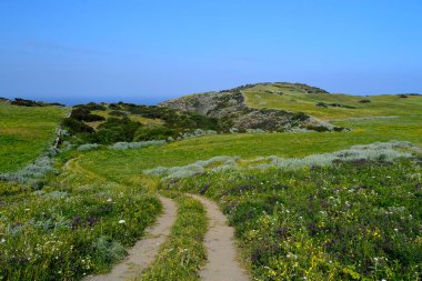Nurra kırsalında, Capo Mannu yakınlarında.