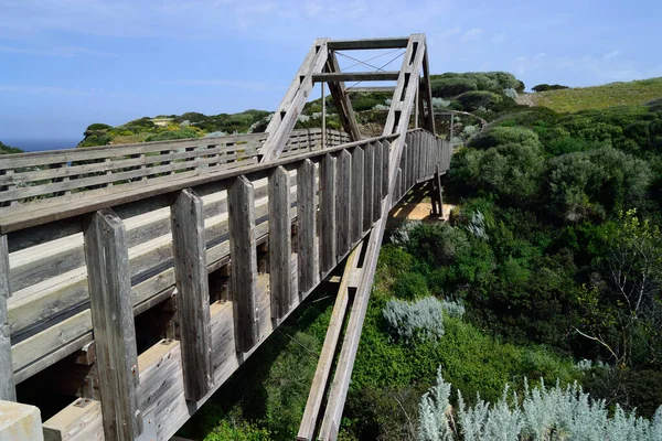 Pont Bois Sur Rio Flumini — Photo