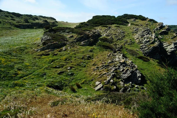 Blick Auf Die Küste Von Nurra — Stockfoto