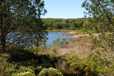 Baratz Gölü manzarası, Sardunya 'daki tek doğal yer.