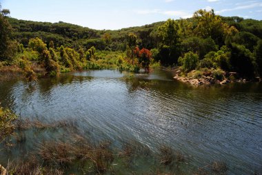 Baratz Gölü manzarası, Sardunya 'daki tek doğal yer.