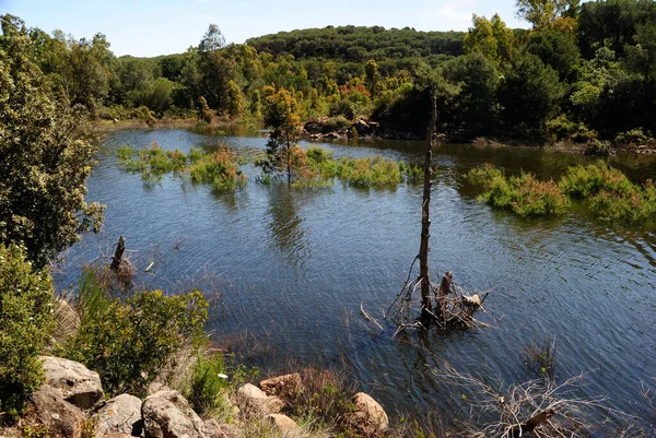 Vue Sur Lac Baratz Seul Naturel Sardaigne — Photo