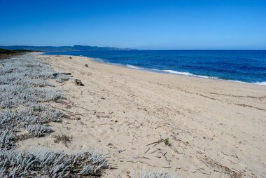 Li Feruli plajı manzarası