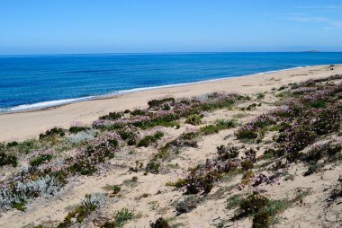 Poltu Biancu plajı manzarası