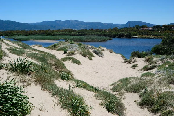 Vue Sur Rivière Coghinas Près Plage Pirotti Frati — Photo