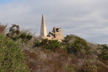Punta Marmorata 'nın salyası.