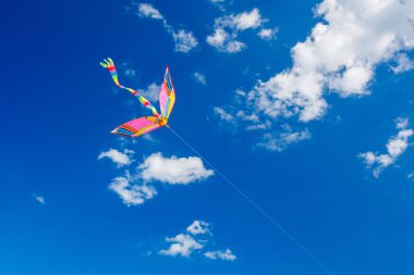 rüzgarda renkli uçurtma