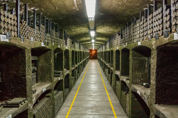 Garrafas velhas de vinho em fileiras adega — Fotografia de Stock