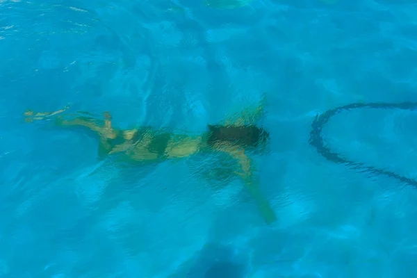 Girl underwater swimming in the pool