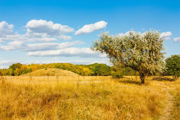 Beautiful summer landscape. — Stock Photo, Image