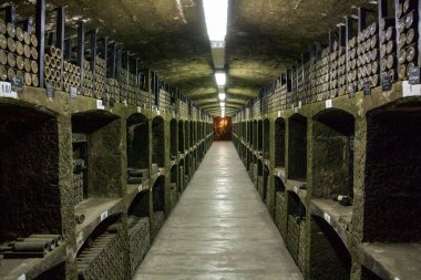 Fazla büyümüş taş el bagajı dokusuna 