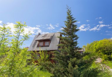 terk edilmiş ahşap ev