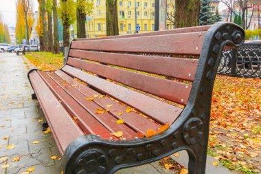 yağmur sonra güzel sonbahar parkta bankta