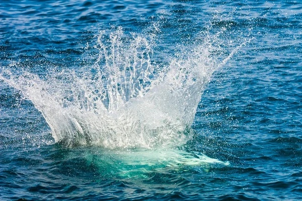 Jump with a splash in the sea — Stock Photo, Image