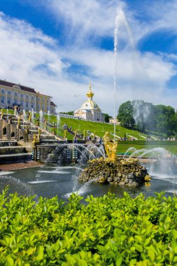 peterhof palace, saint petersburg, Rusya Federasyonu