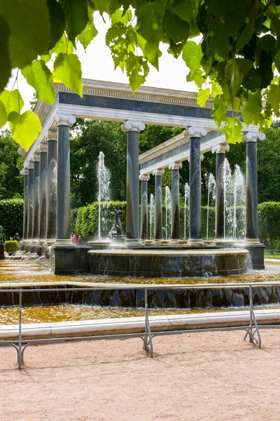 Brunnen im peterhofpark, saint-petersburg, russland — Stockfoto
