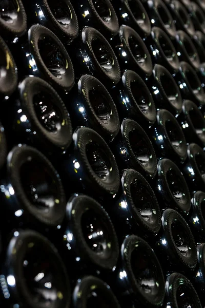 Bodega oscura con botellas viejas de vino — Foto de Stock