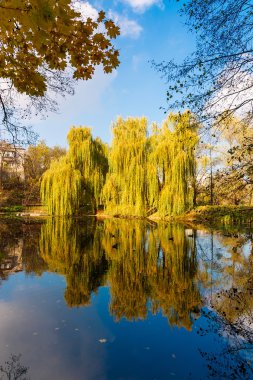 Yeşil Göl kıyısında ve mavi gökyüzü suya yansıyan