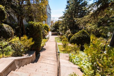 Kırım Güney sahil üzerinde güzel park