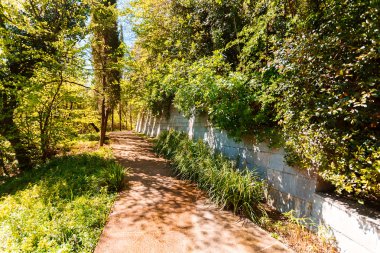Kırım Güney sahil üzerinde güzel park