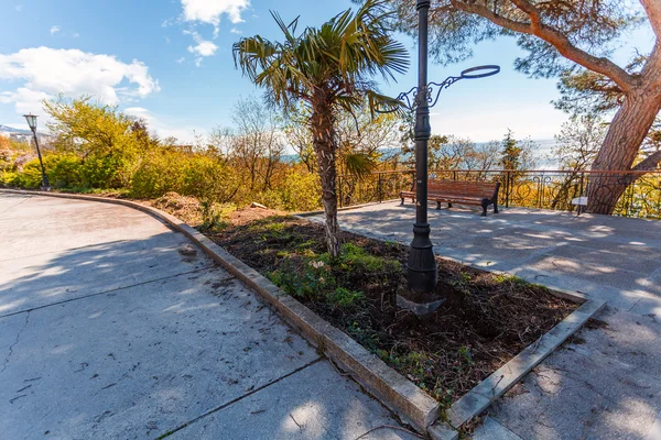 Beautiful park on the southern coast of Crimea — Stock Photo, Image