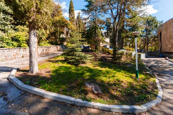 Schöner Park an der Südküste der Krim — Stockfoto