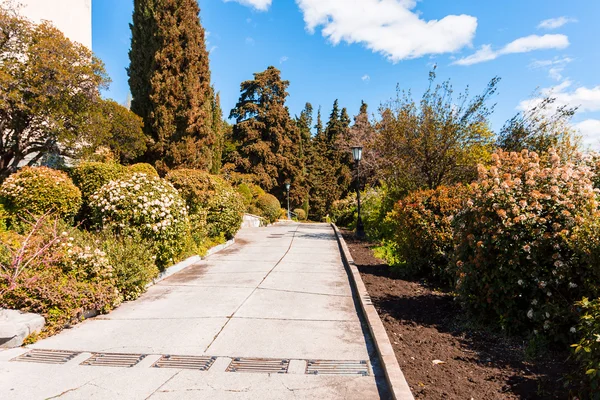 Schöner Park an der Südküste der Krim — Stockfoto