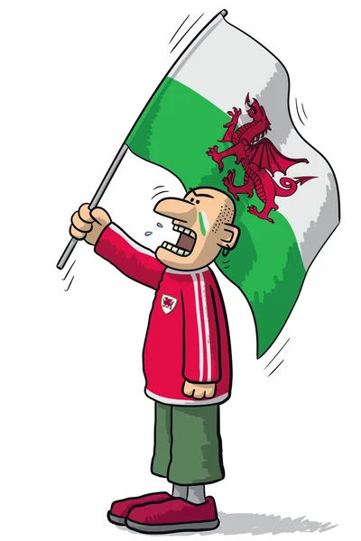 Galles tifoso di calcio — Vettoriale Stock