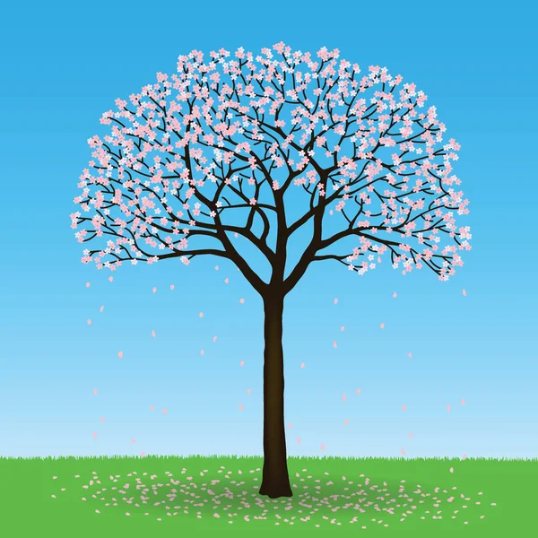 Cseresznyefa Levelekkel Gyümölcsökkel Izolált Vektor Illusztráció — Stock Vector