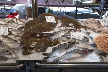 Venedik, İtalya ve Avrupa 'daki Rialto balık pazarı.
