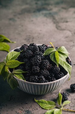 Gri arka planda gri bir seramik kasede yaprakları olan böğürtlenler. Kapat, boşluğu kopyala.