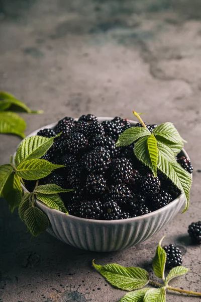 Gri arka planda gri bir seramik kasede yaprakları olan böğürtlenler. Kapat, boşluğu kopyala.
