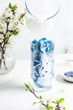 Beyaz arka planda bardakta mavi kibrit latte. Kelebek çiçek tozu. Süper yiyecek ve vegan konsepti.