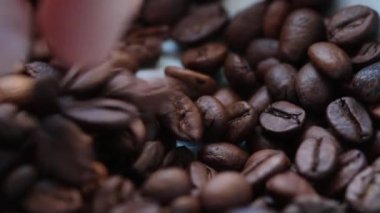 Adam el engeller tahıl değil zemin kahve